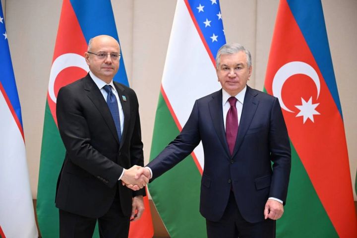 Özbəkistan Prezidenti Azərbaycanın nazirini qəbul edib, birgə layihələri müzakirə edib